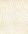 Webtopohumriftscan_medium_cropped