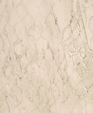 Snakeskinshedp801_medium_cropped