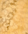 Dapplehoney_medium_cropped