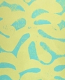Littlehavanaadrianap502_medium_cropped