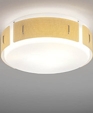 Vianneceilingmount_medium_cropped