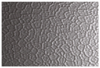 Pilkington Texture Glass