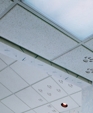 40706_usgcrendani-panels_z_medium_cropped