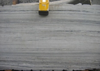 Aster Grey