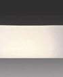 Lesboisceilinglarge_medium_cropped
