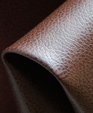 Soft-joseph-noble_medium_cropped