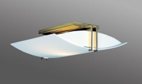 Max Ceiling Fixture