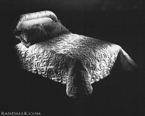 Custom Quilting Patterns - COM