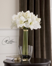 Amaryllis Beach Bouquet Item 60016