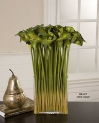 Green Goddess Long Stem Bouquet Item 60024