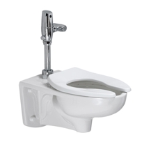 Afwall Elongated ADA Retrofit Toilet