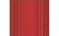SBK10013