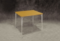 Table/chrome legs
