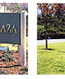 Picture_17_medium_cropped