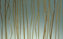 Glass- Botanica, Beach Grass
