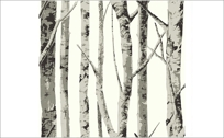SBK14258