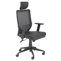 Vue Executive High Back Mesh Chair