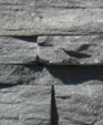 Char_gray_nat_right_medium_cropped