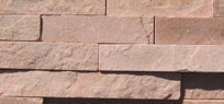 Desert Rose