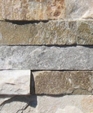 Sierra_right_medium_cropped