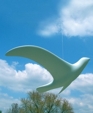 Large_medium_cropped