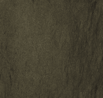 Grey Foussana