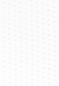 Angela Eyelet White