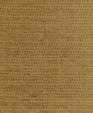 55171_medium_cropped