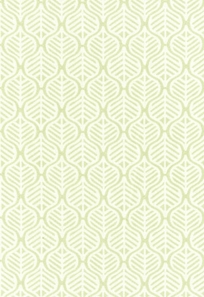 Aspen Leaf Fern