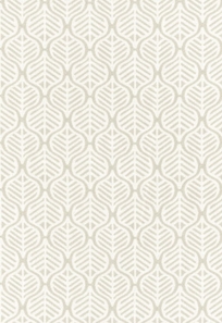 Aspen Leaf Oyster