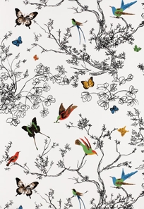 Birds & Butterflies Multi on White